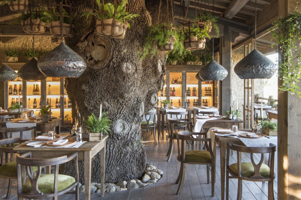 3EGKC1QBv1iLw6T6P004w4SD6EYZxJImMQvKRmHf