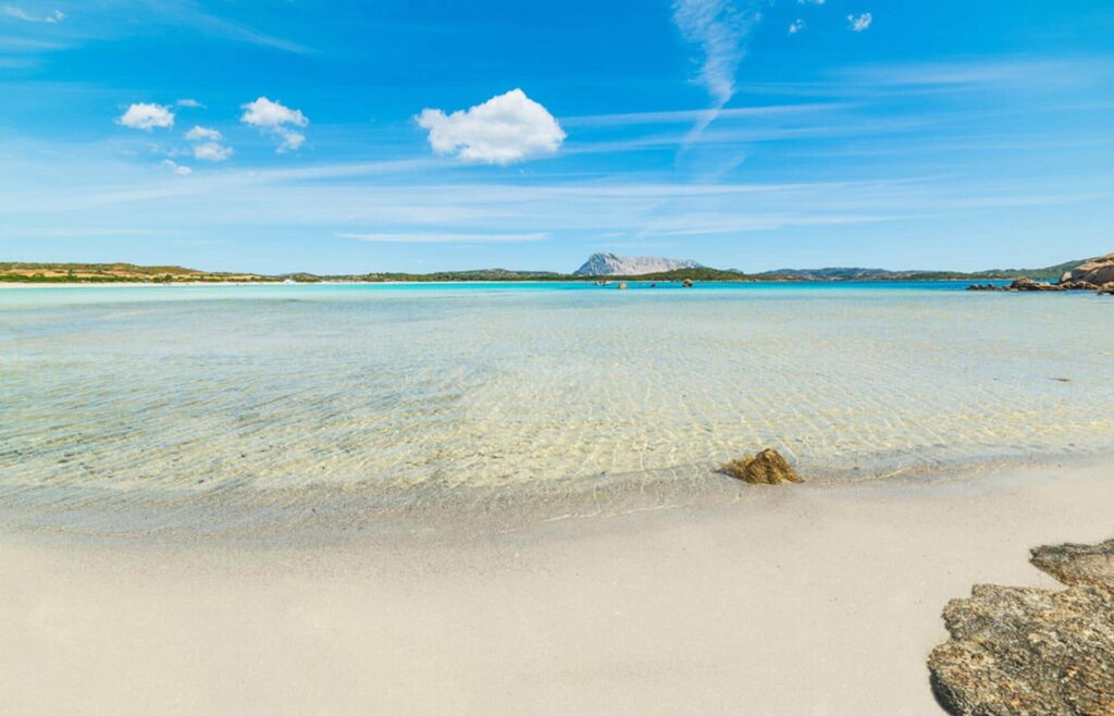 4WJuzx39krrULJP6C9hqKnKhk0thDM2zofp3VJbx