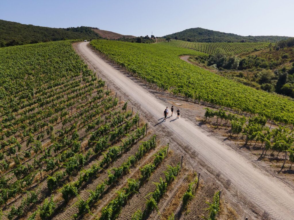 bacF7mjhtfsWgHT8wldHcA2NCFA3N6Goa4qnLhdE