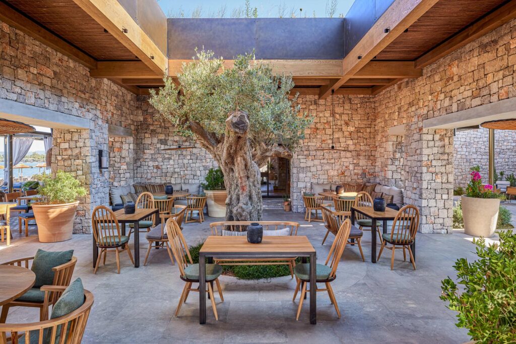 cWTnjM0W2UDOSF5m1E4YagJ0ScDlke8jc2fRKK3E