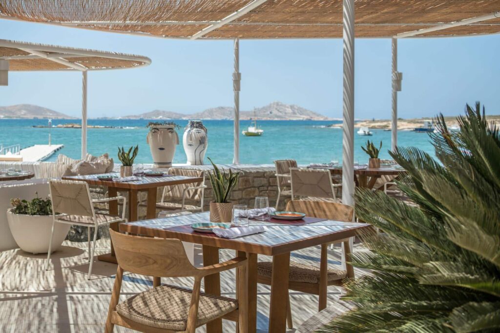 ckFp9Wn9STFwXlYQMjLVSTLCwDTHbaN8WJCSX9xc