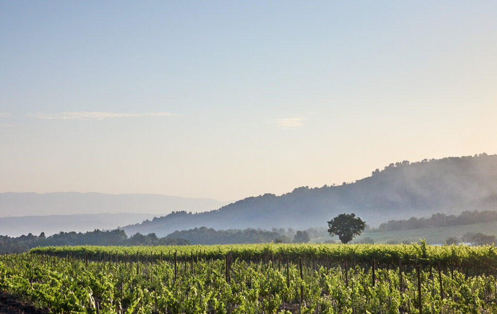 f1cZE9P5dR8I2uqiSbpZkTisX36VEqspj0rxOEAX