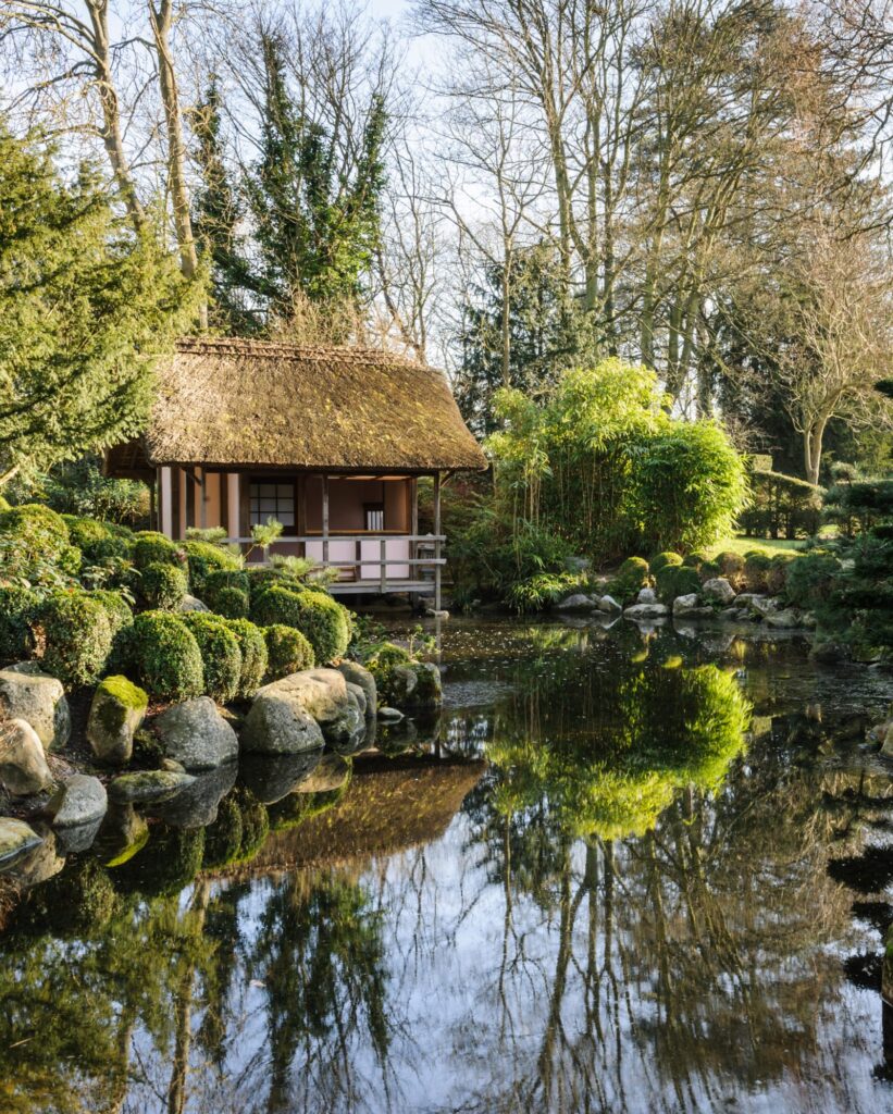 iHTajUKg9shTzool02y8X3VcMMNoPRMjjNRvdXgM