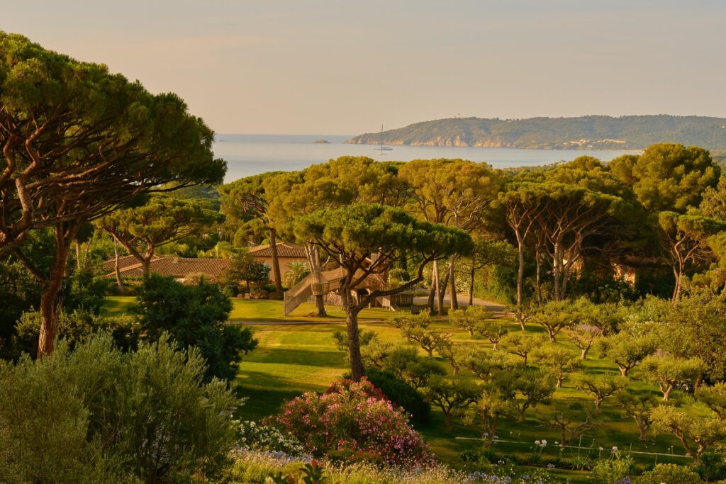 kgMVqOSPZJksLZPubq6IvlWReGdAk1O4VoEkSTQT