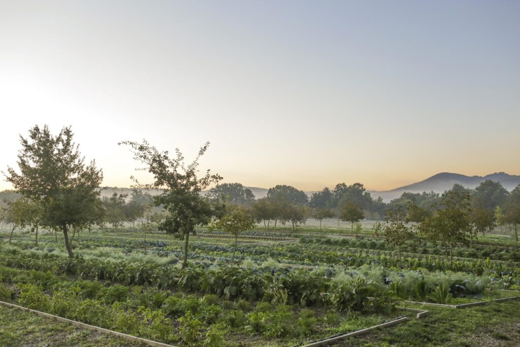 zr1DMj8owbEqDaDOuOWr1ETP41MhsI2Mgkzjzksj